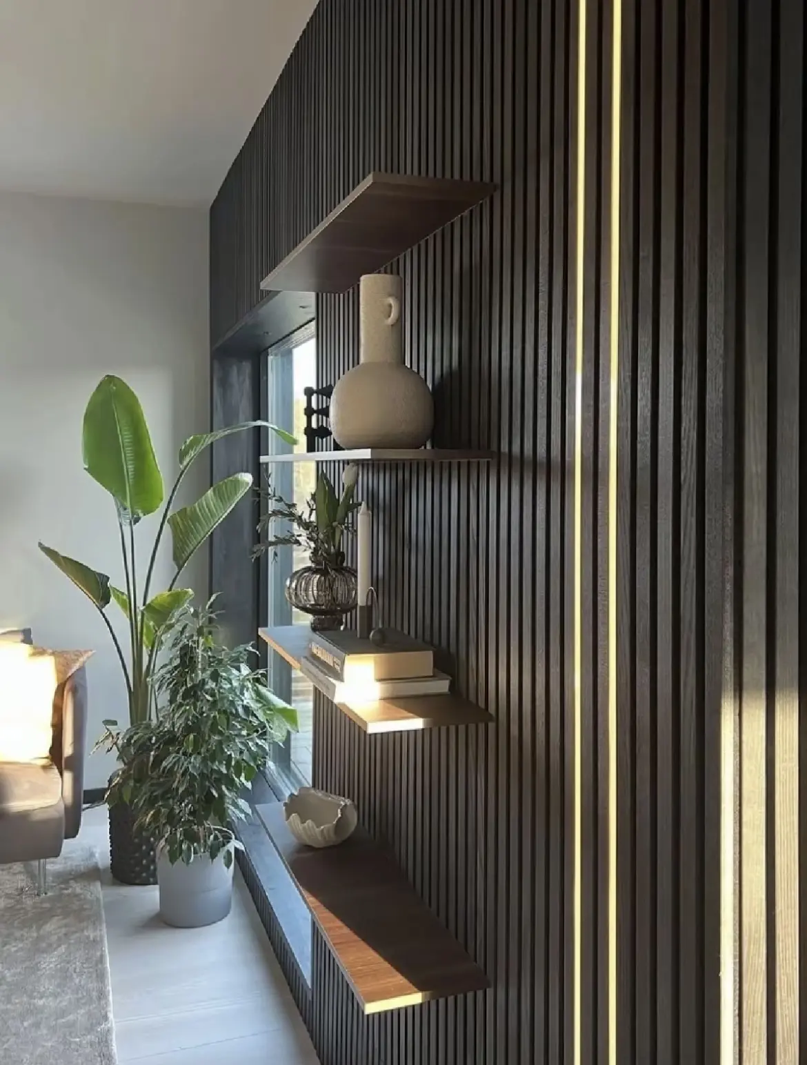 2ad883d81d38855c653407c453e71c0